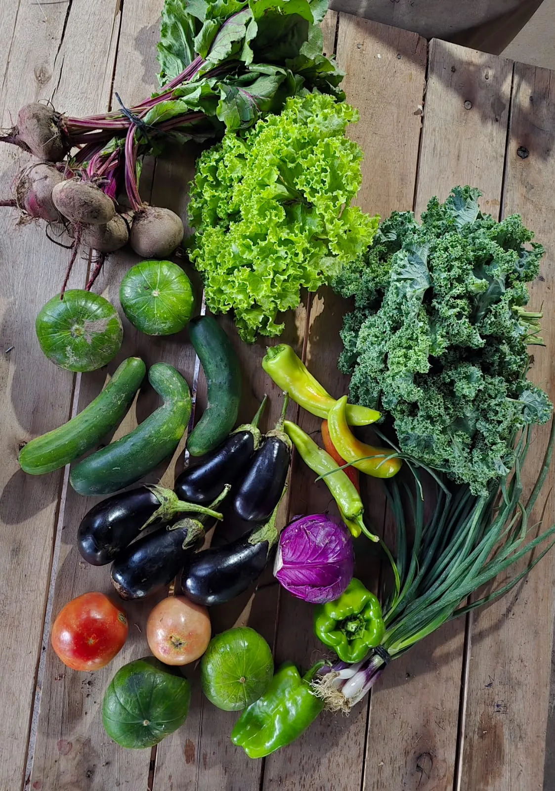 Bolsón Verduras Agroecológicas